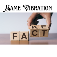 Same Vivration - Fake